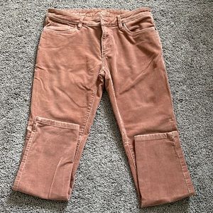 LOFT skinny corduroy pants